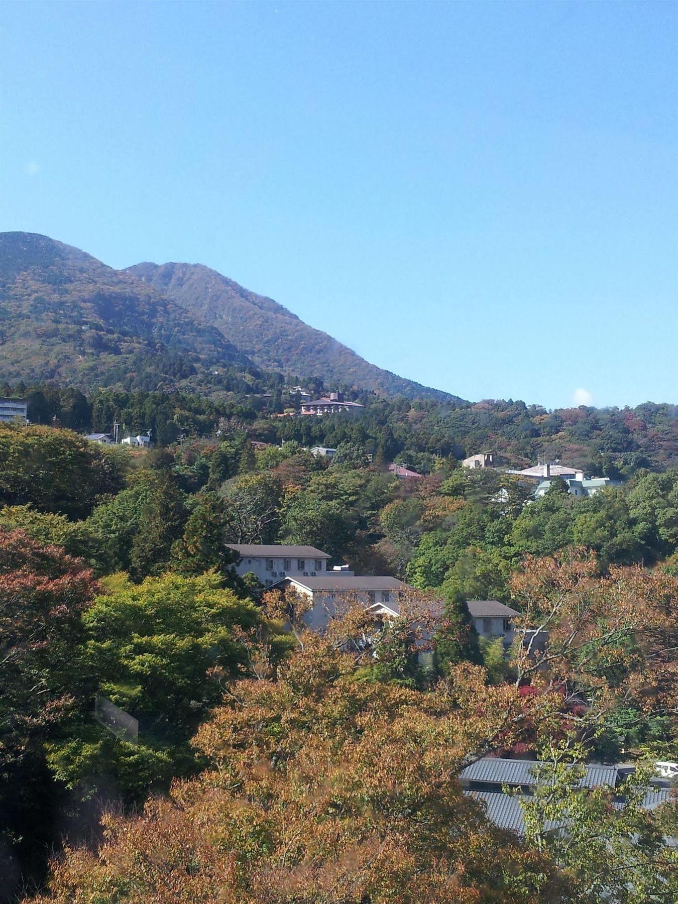 酒店 维斯特林生活俱乐部豪园之森酒店